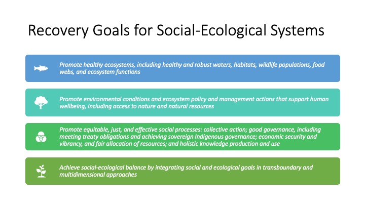 Recovery Goals for Social-Ecological Systems