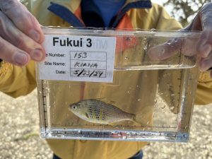 A person holds a small container of water with a fish in it up to the camera