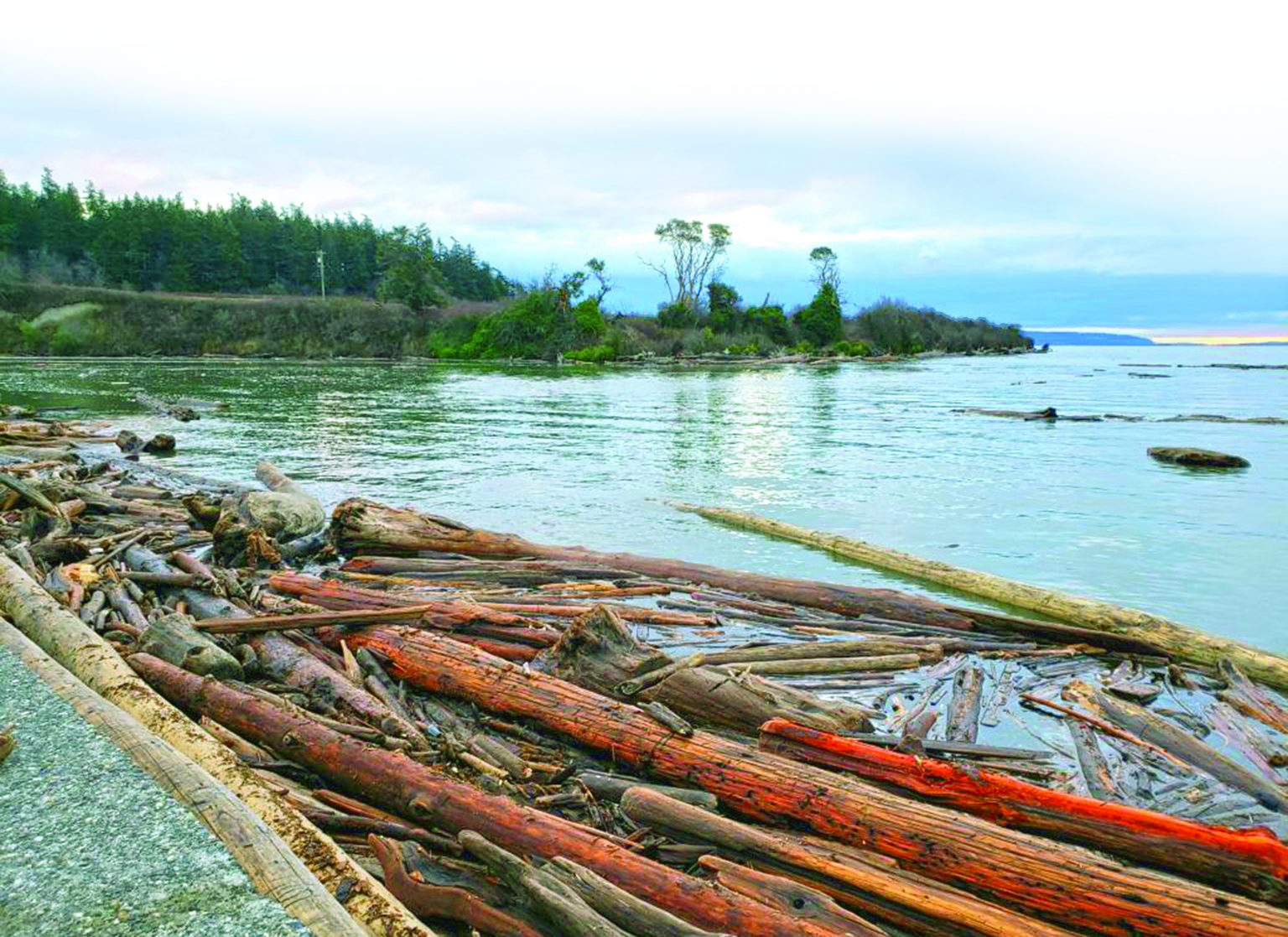 King Tides Provide a Window into the Future of Washington Shorelines