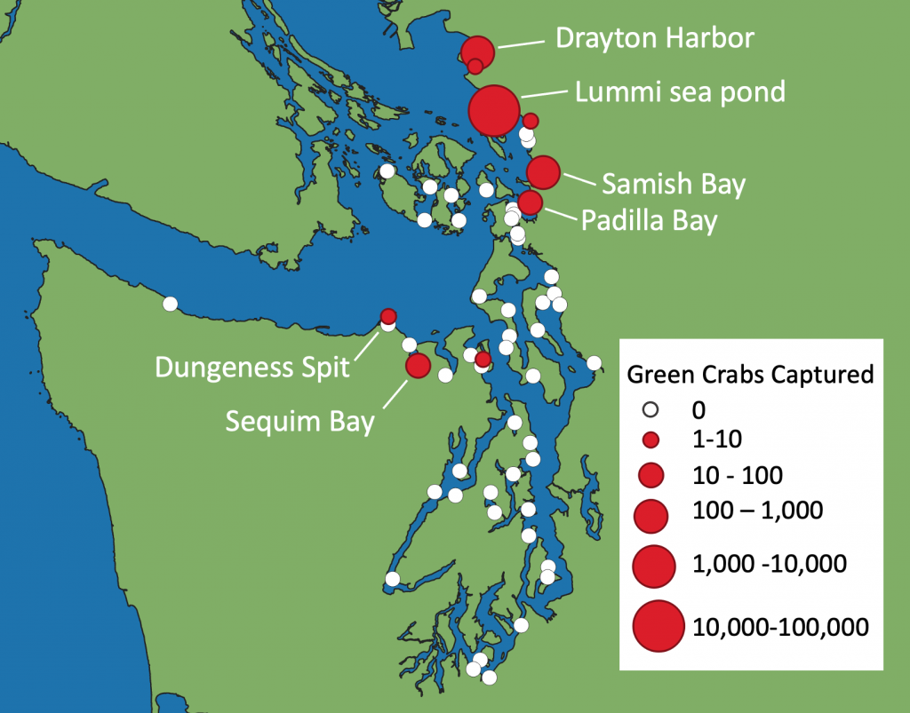 What Does the Invasion at Lummi Mean for the Salish Sea? – Washington ...