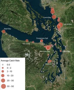 A map of green crab trapping sites in 2024 along Washington's portion of the Salish Sea.