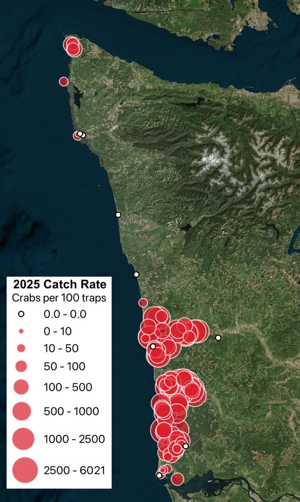 A map of the Pacific Coast of Washington State showing a few red circles overlapping at the north corner, but many many overlapping circles further to the south, covering Willapa Bay and Grays Harbor