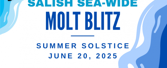 Second Annual Salish Sea-wide Molt Blitz coming June 20