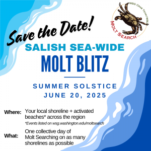 2025 Molt Blitz details
