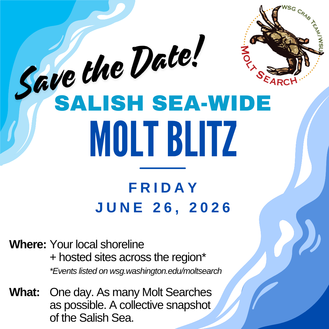 Save the Date! Salish Sea-wide Molt Blitz. Friday June 26, 2026. Where: Your local shoreline + hosted beaches across the region. What: One Day. As many Molt searches as Possible. A collective snapshot of the salish sea.