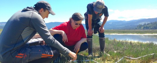 Widening the Search for European Green Crab in the Strait of Juan de Fuca