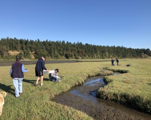 Trap retrieval along the channel. Photo credit: Emily Grason