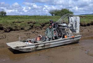 An airboat with two men on it sits in shallow water in a muddy salt marsh channel.