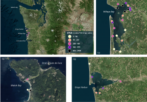 4 maps with points showing the average annual catch-per-unit-effort at coastal sites where standardized data is available.