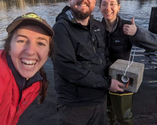 Lisa, Zach, and Elyse from Crab Team HQ deploying the last temperature logger of the day at Titlow Lagoon (site #277)! Photo credit: Lisa Watkins