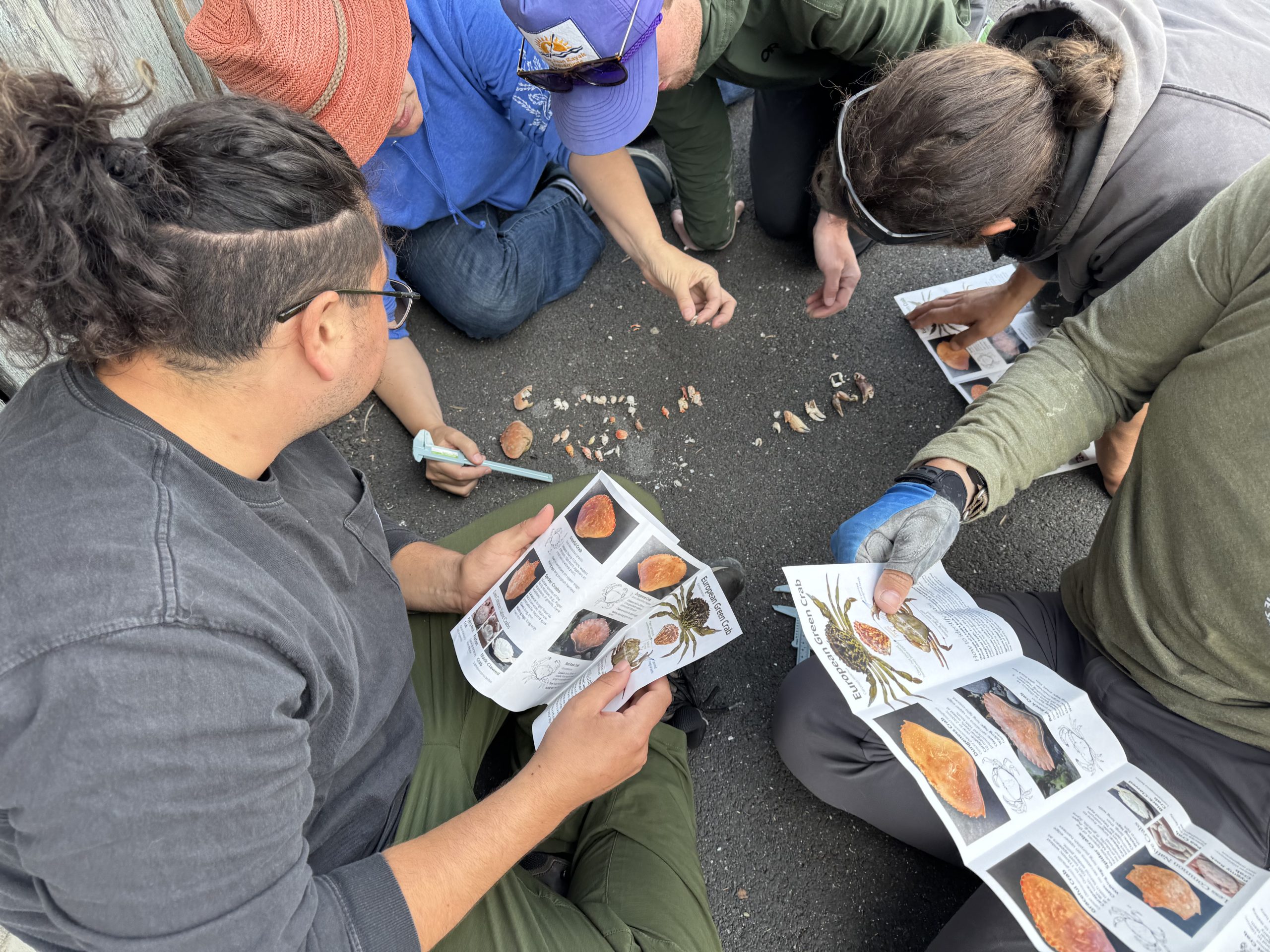 Public Molt Search training put on by Friends of the San Juans at Jackson Beach Park on San Juan Island. Photo Credit: J. Newley/Friends of the San Juans