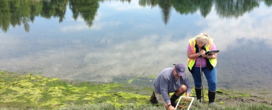 WSG Crab Team Receives 2020 Salish Sea Science Prize