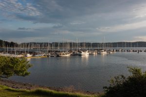 Boats docked at Oak Harbor Marina