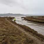 Monitors retrieving traps from the mouth of the Tokeland site channel on a gray misty day. Photo credit: Alex Stote