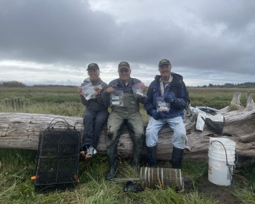 Monitors from the coastal Ocean Shores site hold up their ziplock bags of European green crabs after a successful last day of the season. Photo credit: Elyse Kelsey