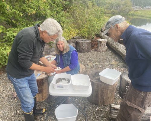 Monitors at Musqueti use an ergonomic set up for measuring all of the native hairy shore crab at their site. Photo: WSG