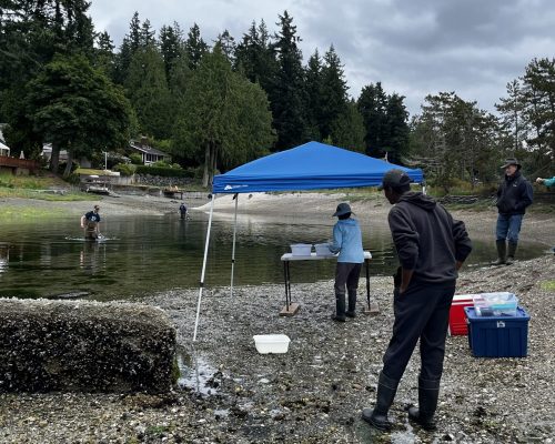 Action shot of trap retrieval and visual of the team's amazing setup. Photo Credit: E. Grason/WSG Action shot of trap retrieval and visual of the team's amazing setup. Photo Credit: E. Grason/WSG