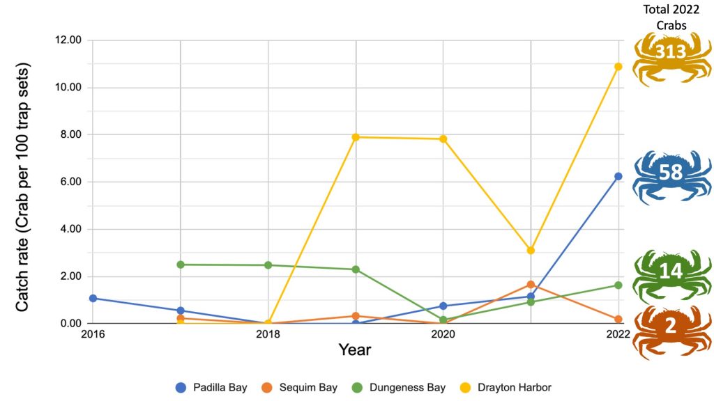 A line graph showing annual average catch rates at Padila Bay, Samish Bay, Dungeness Bay, and Drayton Harbor.