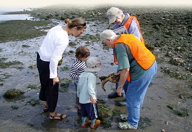 Kitsap Beach Naturalist Beach Walk