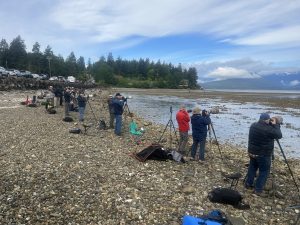 On a gravel beach, a line of people with tripods and telephoto cameras line up to to photograph bald eagles feeding on an exposed tide flat.