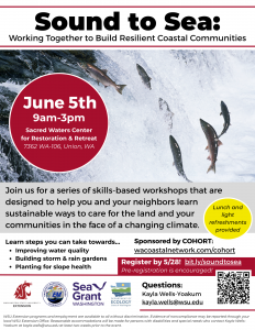 Flyer for Sound to Sea workshop on June 5, 2025