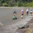 Monitors Capture Their First in Green Crab in Chuckanut Bay