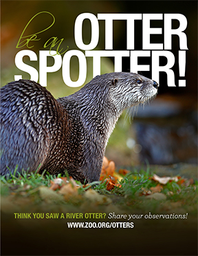 Encouraging Otter 