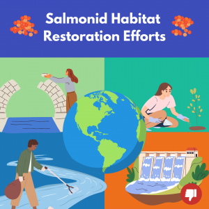 An infographic showing different ways to aid salmon habitat restoration