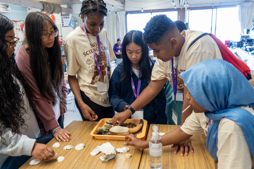Students examine geoduck and other shellfish in a tray on a table.