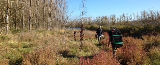 Padilla Bay Rapid Response: Day 1