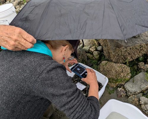 Deer Lagoon crew goes above and beyond to get the perfect bin photo. Photo Credit: L. Watkins/WSG. Deer Lagoon crew goes above and beyond to get the perfect bin photo. Photo Credit: L. Watkins/WSG.