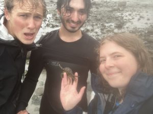 Three people stand on a rocky beach. One is holding a shell of a European green crab
