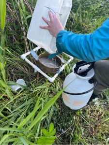 Collecting invertebrates from fallout traps
