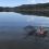 2022 European Green Crab Wrap Up: Inland sites