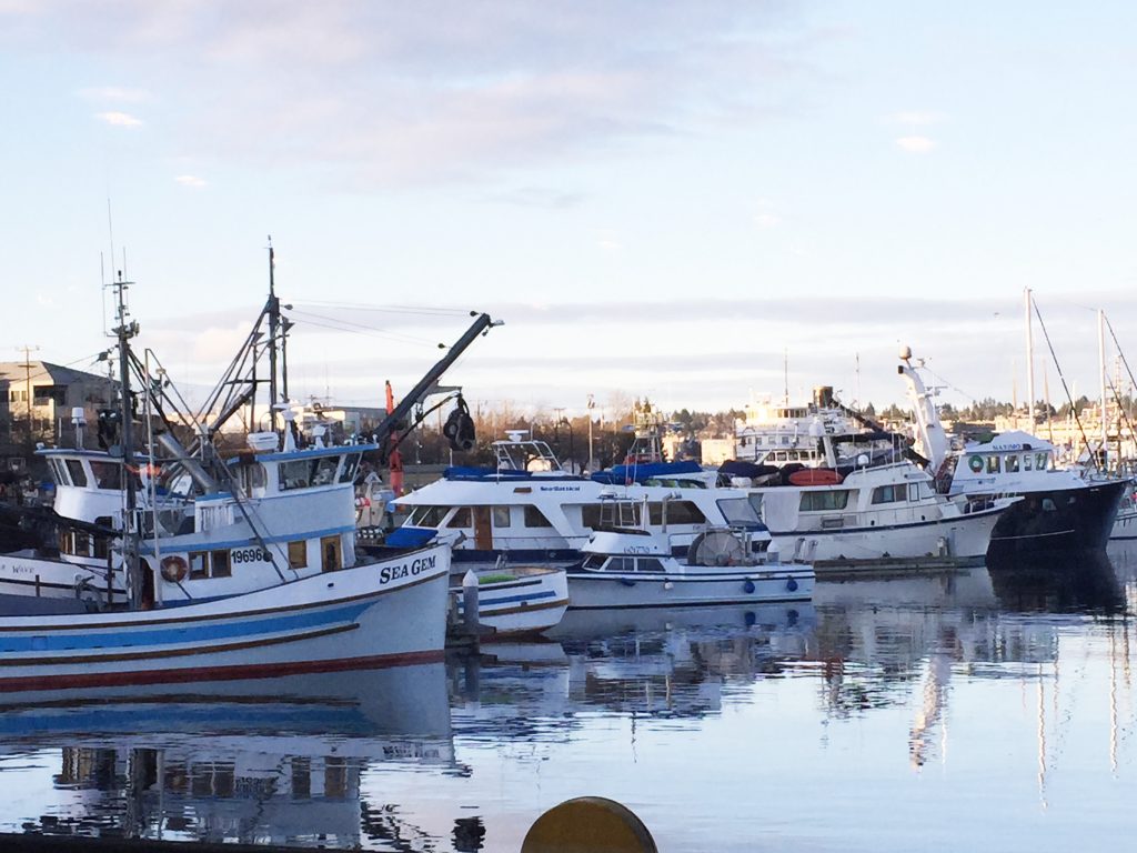 COVID-19 Resources for the Seafood Industry – Washington Sea Grant