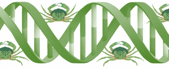 Environmental DNA (Part 1): Green Crab Monitoring 2.0?