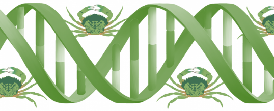 Environmental DNA (Part 3): Reconciling eDNA with Traditional Detection Methods