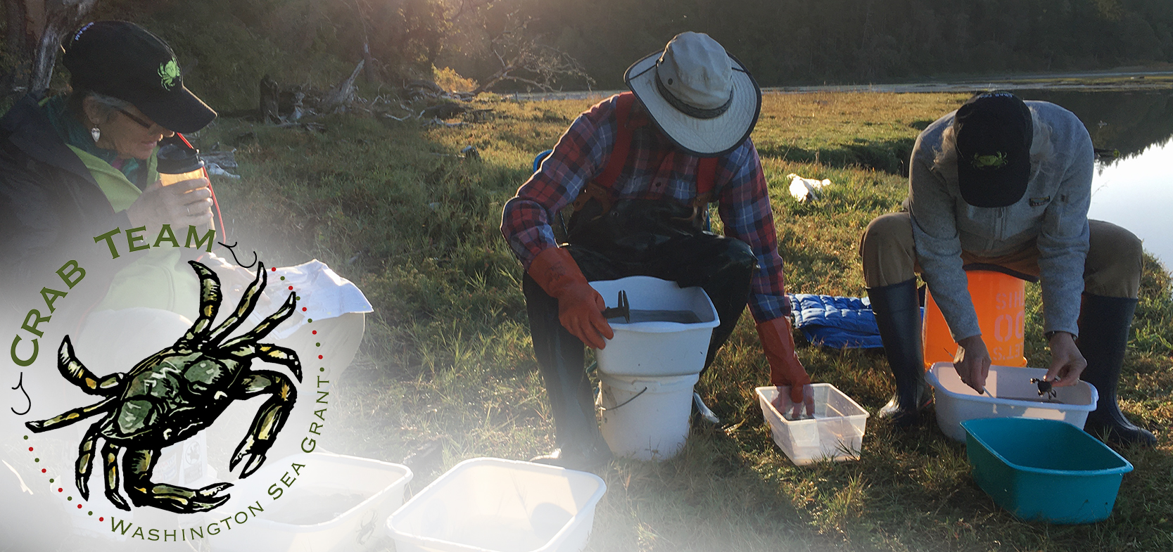 Three people in hats and field gear sitting on buckets counting critters in a bin with the Crab Team logo superimposed in the bottom left hand corner