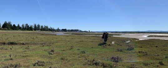 Meet Alex Stote, Crab Team Coastal Specialist at WSG