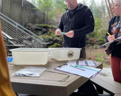 Trapping practice at the 2025 New Monitor Training. Photo credit: Emily Grason