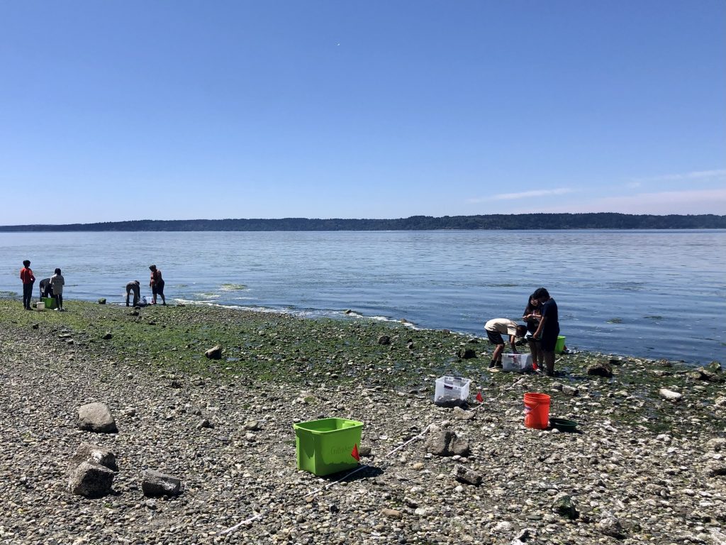 Students comb a rocky beach, placing samples into brightly colored plastic buckets.