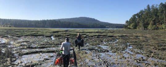 European Green Crab Detection During San Juan Island Assessment