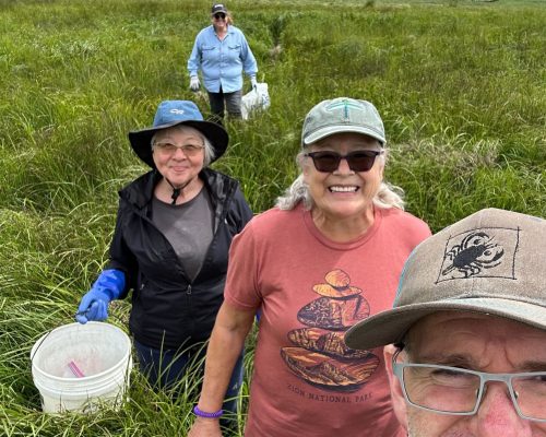 The team at Duckabush (site #138) starting out the season strong! Photo credit: Sean McDonald