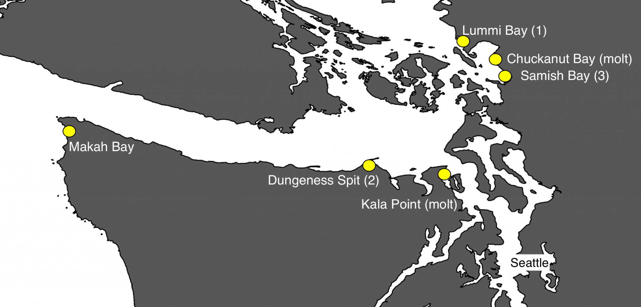 A Slow Start to the 2020 Green Crab Season Washington Sea Grant