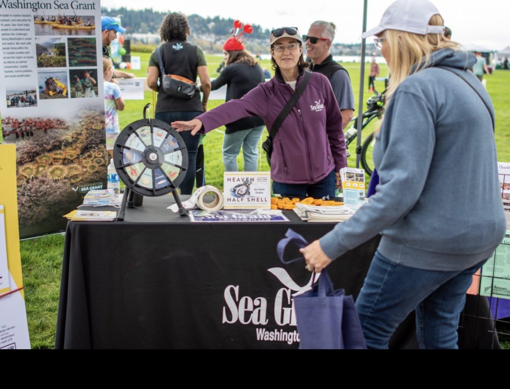 Person standing at a festival table