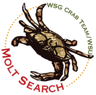 Molt Search Logo