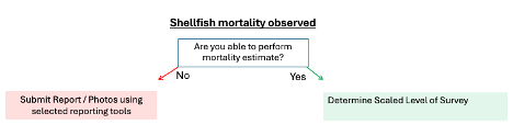 Flowchart of actions to take during shellfish mortality events