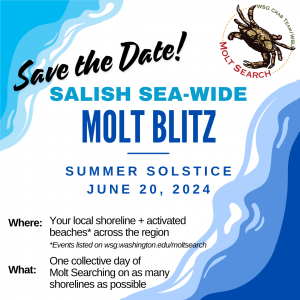 Salish Sea-wide Molt Blitz Save the Date ad with blue wave-like designs