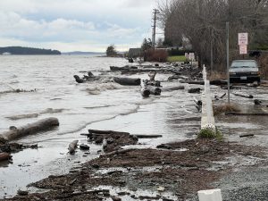 King tide flooding at the Guemes Island ferry lot submerges the parking lot near the coast.