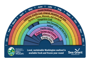 Wheel showing WA seafoods in season at different times of year